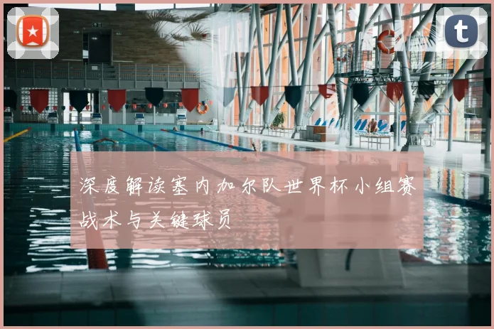 深度解读塞内加尔队世界杯小组赛战术与关键球员