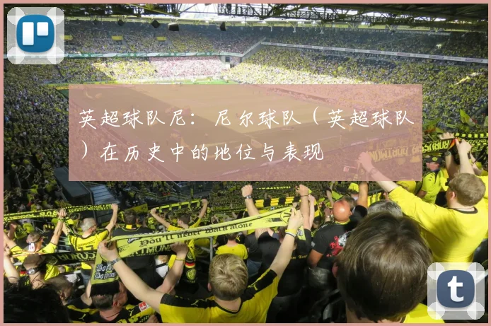 英超球队尼：尼尔球队（英超球队）在历史中的地位与表现